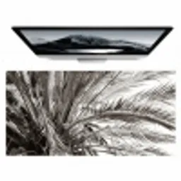 palmboom-tropisch-zwart-wit Muismat XXL klein -zzz3d