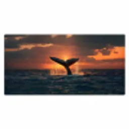 Walvis staart - Water - Zonsondergang Muismat XXL klein -3d_leeg