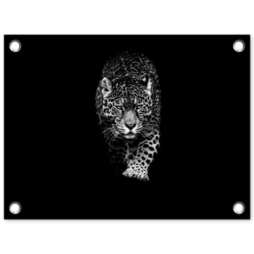 Dieren - Zwart - Luipaard - Wit - Wild tuinposter los doek klein -3d