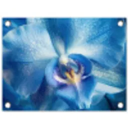 Blauw - Orchidee - Elegeant tuinposter los doek klein -3d
