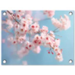 Takken - Bloesems - Roze tuinposter los doek klein -3d