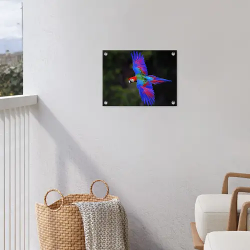 Felgekleurd - Papegaai - Bos - Vleugels tuinposter los doek klein -sfeer8