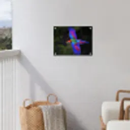 Felgekleurd - Papegaai - Bos - Vleugels tuinposter los doek klein -sfeer8