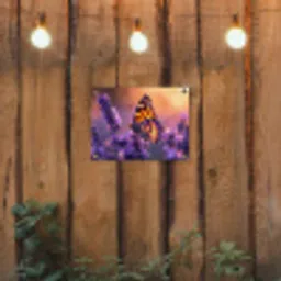 Vlinder op lavendel bij zonsondergang tuinposter los doek klein -sfeer1