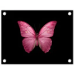 Vlinder - roze - Elegant tuinposter los doek klein -3d