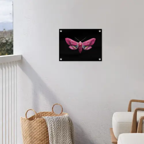 Vlinder - Roze - Nachtvlinder tuinposter los doek klein -sfeer8