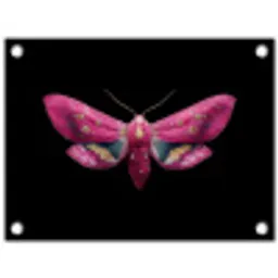 Vlinder - Roze - Nachtvlinder tuinposter los doek klein -3d