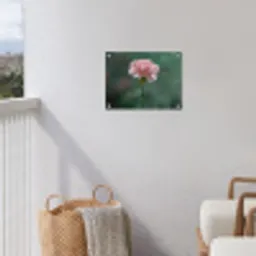 Anjer - Roze - Bloemblaadjes tuinposter los doek klein -sfeer8