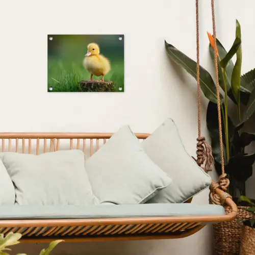 Kuiken - Eend - Geel - Gras tuinposter los doek klein -sfeer7