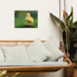 Kuiken - Eend - Geel - Gras tuinposter los doek klein -sfeer7
