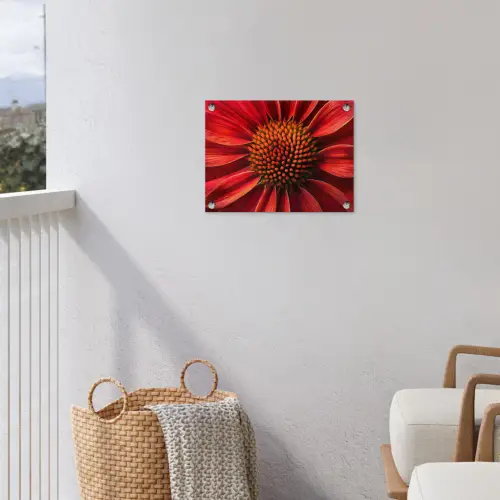 Close up - Bloem- Rood tuinposter los doek klein -sfeer8