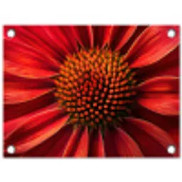 Close up - Bloem- Rood tuinposter los doek klein -3d