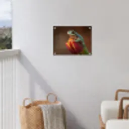 Close-up - Kikker - Tulp - Rood tuinposter los doek klein -sfeer8