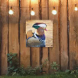 Close-up mandarijneend tuinposter los doek klein -sfeer1