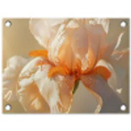 Close up - Oranje - Iris tuinposter los doek klein -3d
