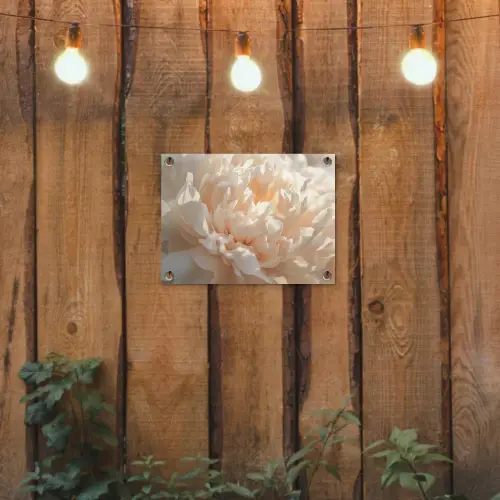 Close up - Pioenroos - Lichtroze tuinposter los doek klein -sfeer1