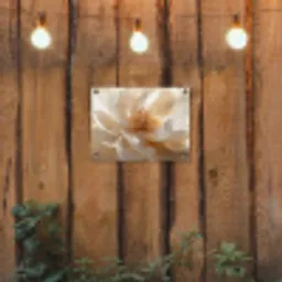 Close up - Pioenroos - Wit tuinposter los doek klein -sfeer1