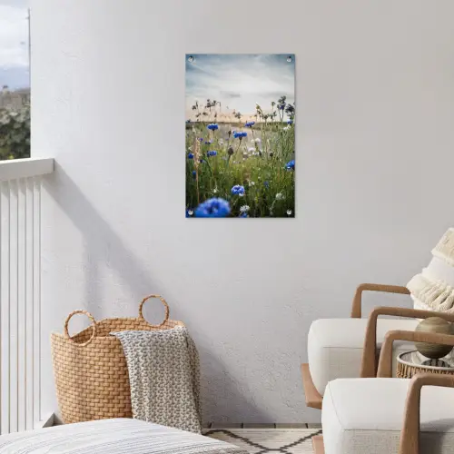 Korenbloemen bij zonsondergang tuinposter los doek klein -sfeer8