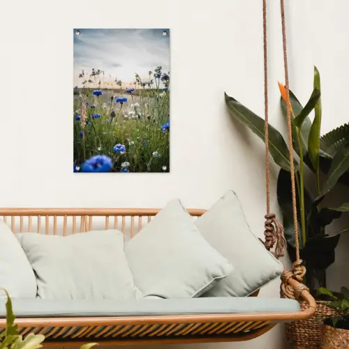 Korenbloemen bij zonsondergang tuinposter los doek klein -sfeer7