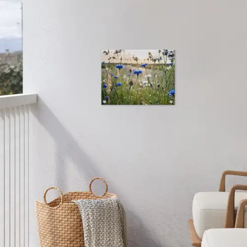 Korenbloemen in het avondlicht tuinposter los doek klein -sfeer8