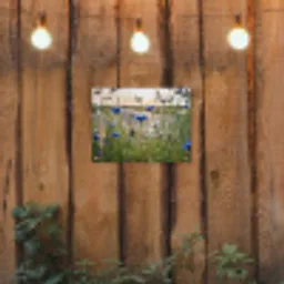 Korenbloemen in het avondlicht tuinposter los doek klein -sfeer1