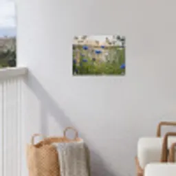 Korenbloemen in het avondlicht tuinposter los doek klein -sfeer8