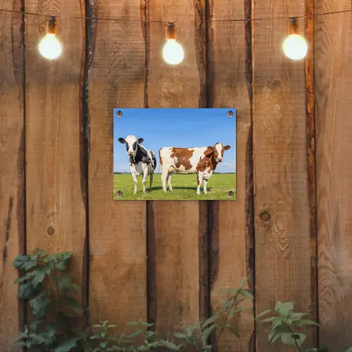 Koeien in de Weide tuinposter los doek klein -sfeer1