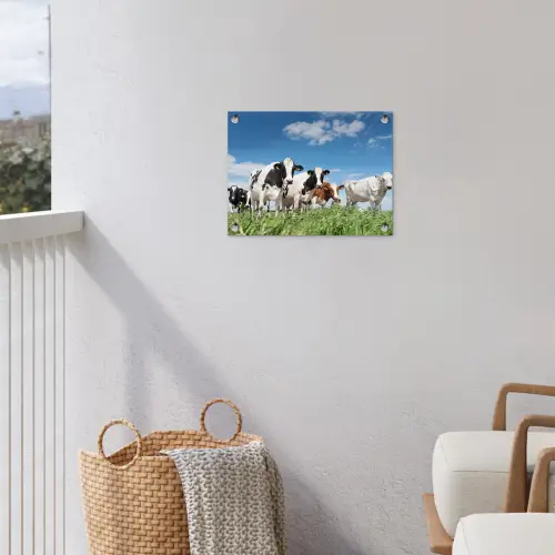 Koeien in de weide tuinposter los doek klein -sfeer8