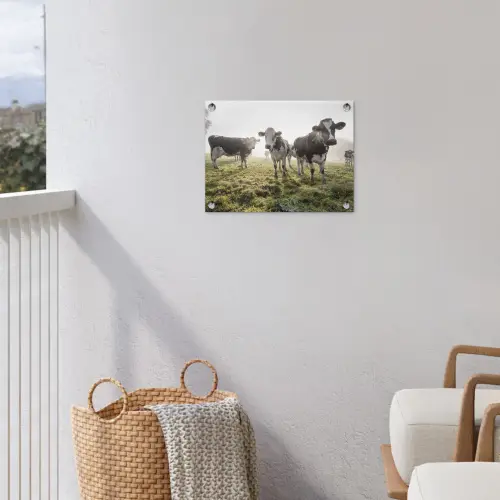 Koeien - Licht - Gras - Dieren tuinposter los doek klein -sfeer8