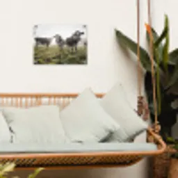 Koeien - Licht - Gras - Dieren tuinposter los doek klein -sfeer7