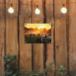 Koeien - Zonsondergang - Weiland - Dieren tuinposter los doek klein -sfeer1