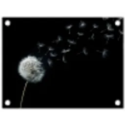 Paardenbloem - Zwart - Natuur tuinposter los doek klein -3d