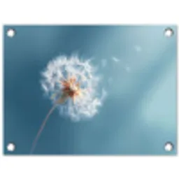 Paardenbloem - Wind - Blauw tuinposter los doek klein -3d