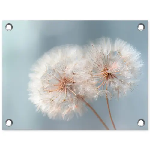 Paardenbloemen - Pluisjes - Wit tuinposter los doek klein -3d