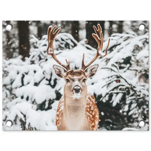 Hert - Sneeuw - Winter - Bos - Dieren tuinposter los doek klein -3d