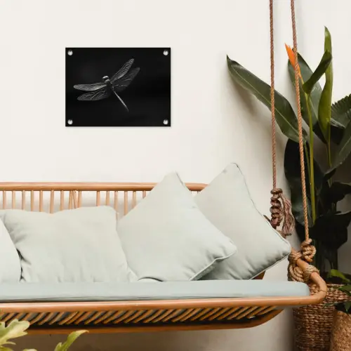 Libelle - Dieren - Zwart - Insect tuinposter los doek klein -sfeer7