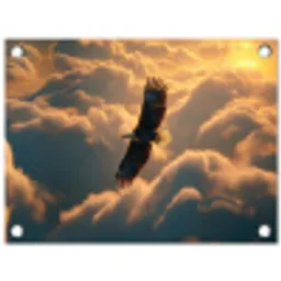 Adelaar - Wolken - Zon tuinposter los doek klein -3d