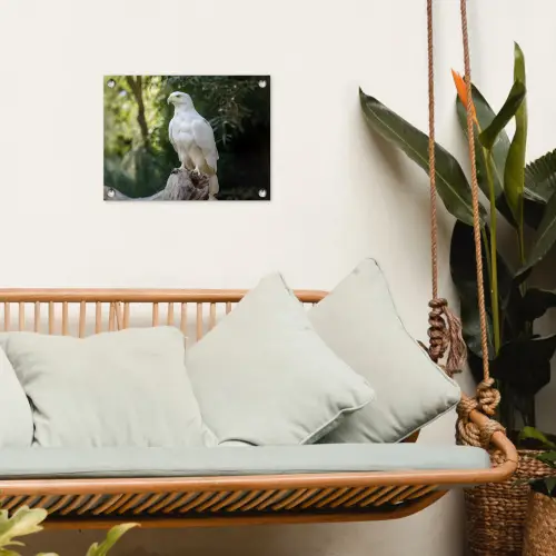 Arend - Hout - Wit - Planten tuinposter los doek klein -sfeer7