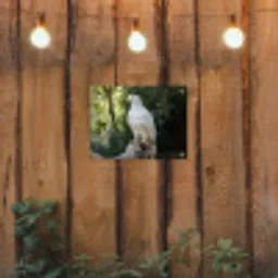 Arend - Hout - Wit - Planten tuinposter los doek klein -sfeer1