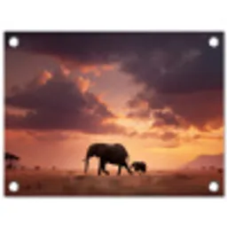 Olifanten - Grasland - Zonsondergang tuinposter los doek klein -3d