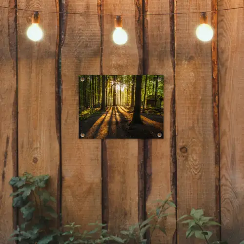 Avondlicht in het bos tuinposter los doek klein -sfeer1