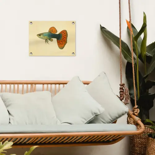 Vis - illustratie - Stippen - Oranje tuinposter los doek klein -sfeer7