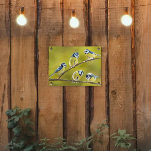 Vijf Koolmezen op een Tak tuinposter los doek klein -sfeer1
