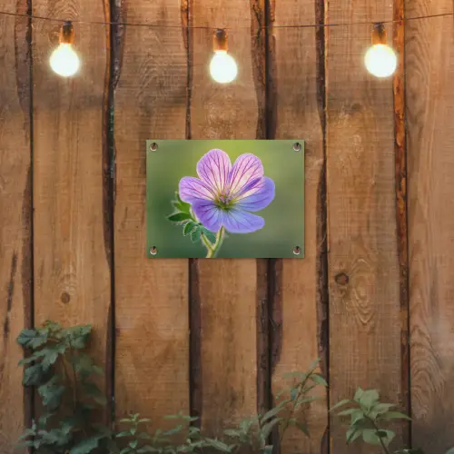 Bloem - Close up - Paars tuinposter los doek klein -sfeer1