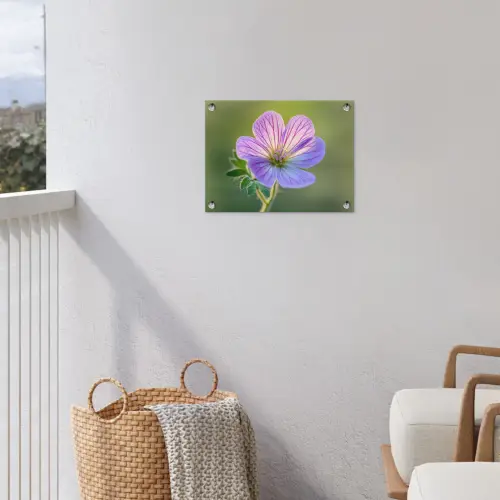 Bloem - Close up - Paars tuinposter los doek klein -sfeer8