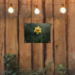 Bloem - Narcis - Gras - Geel tuinposter los doek klein -sfeer1