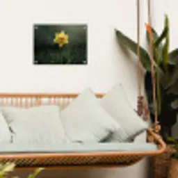 Bloem - Narcis - Gras - Geel tuinposter los doek klein -sfeer7