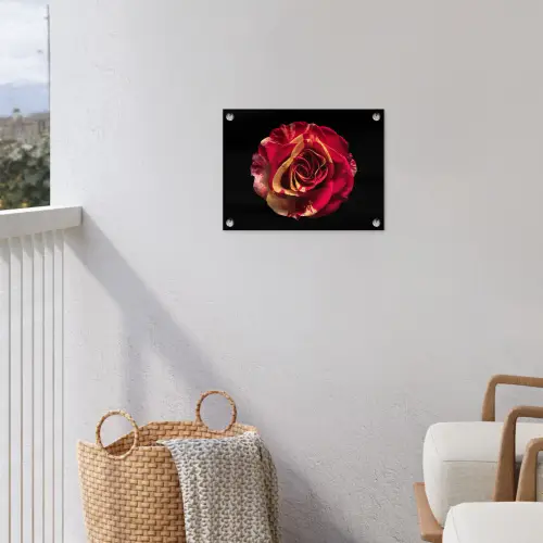 Bloem - Roos - Rood - Zwart tuinposter los doek klein -sfeer8