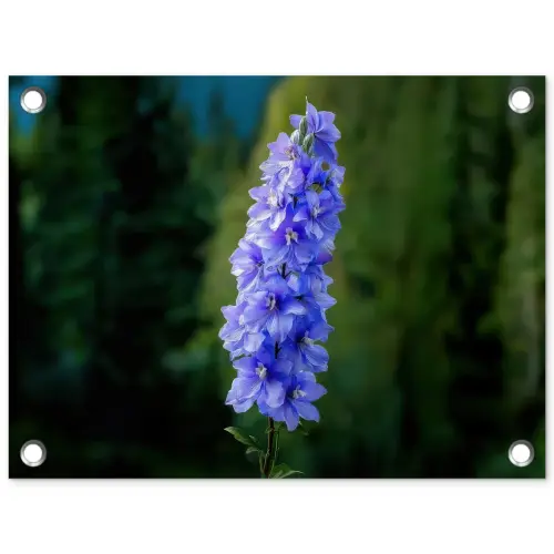 Bloemen - Blauw - Dennenboom tuinposter los doek klein -3d