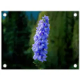 Bloemen - Blauw - Dennenboom tuinposter los doek klein -3d
